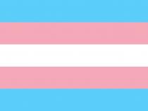 QueerEvents.ca - Queer Flags - Trans Flag Image